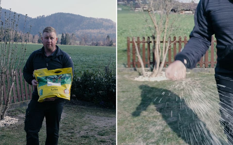 Fertiliser le gazon