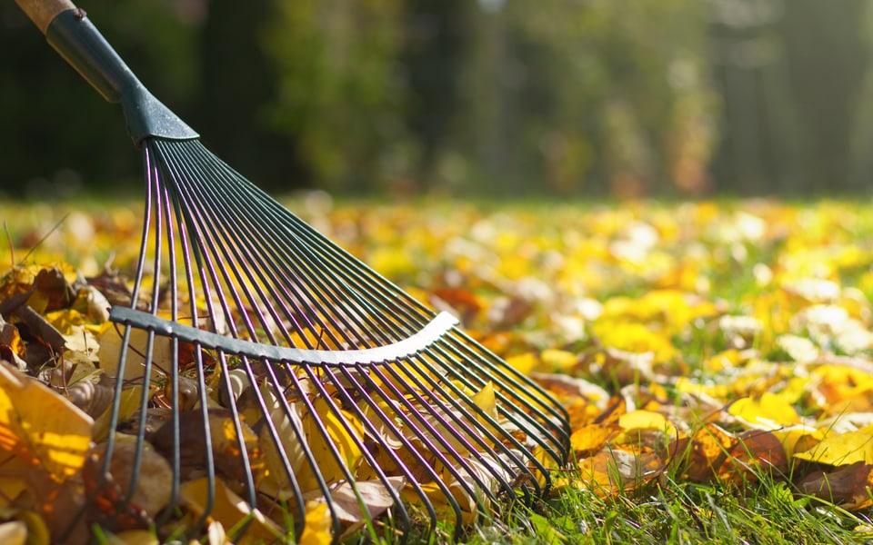 En automne