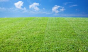 Conseils de survie pour l’été