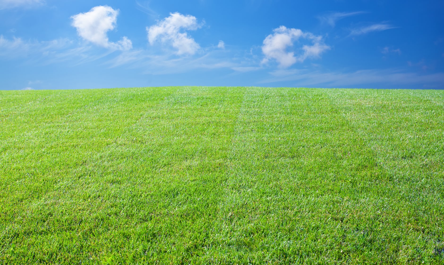 Conseils de survie pour l’été