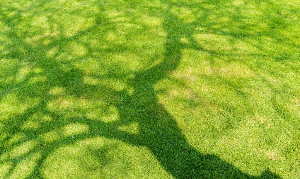 Ombre / manque de lumière