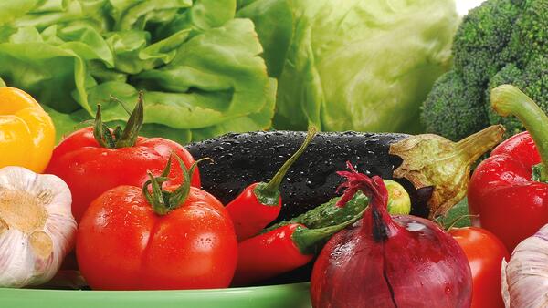 Bio Force Veggie Spray