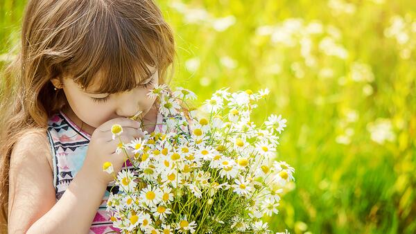 Clever Nature Gazon aux herbes odorantes