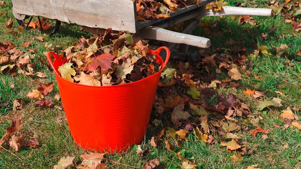 Gorilla Tub 15 Litres peu profond